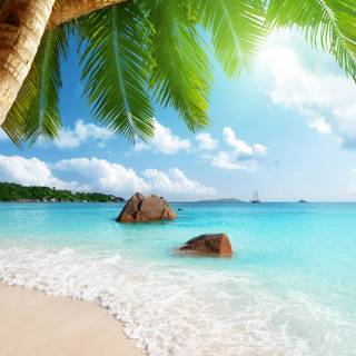 Wallpapers beach