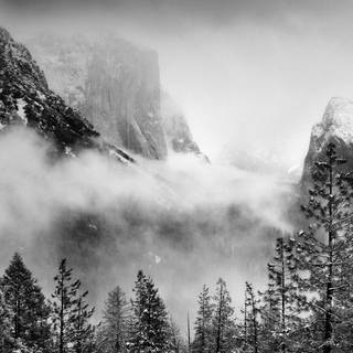 Snow storm wallpaper