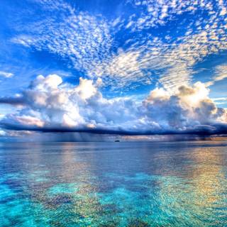 Nature backgrounds for desktop