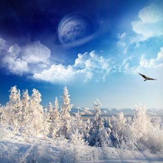 Free winter wallpaper backgrounds
