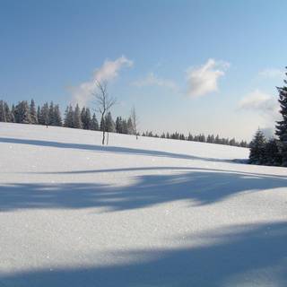 Winter scene screensavers