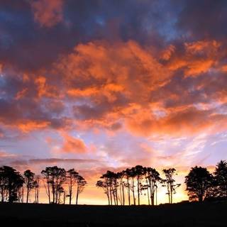 Background desktop images