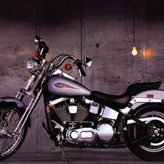 Harley davidson pics download
