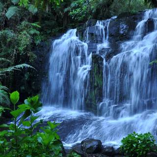 Free scenery wallpaper for desktop