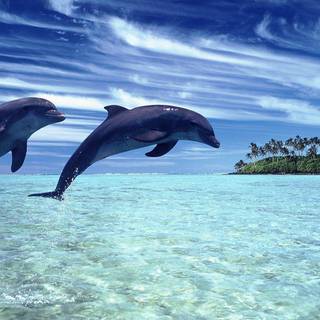 Nature HD wallpaper