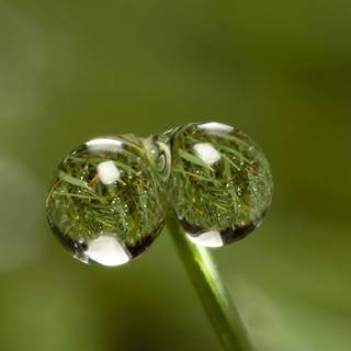 Latest desktop background