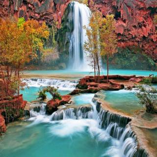 Wallpaper background free