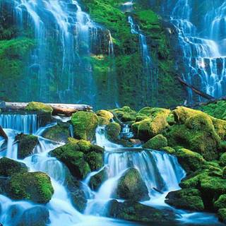 Free background wallpaper for desktop