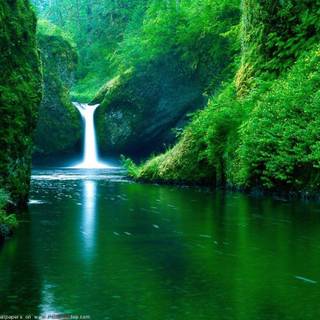 Free summer computer wallpaper