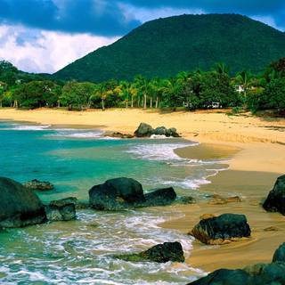 Wallpaper nature beauty