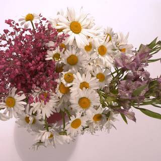 Flower bouquet wallpaper