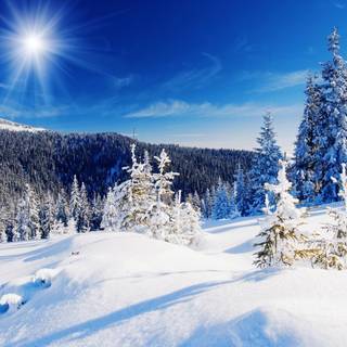 Snow winter wallpaper