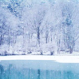 Winter snow background