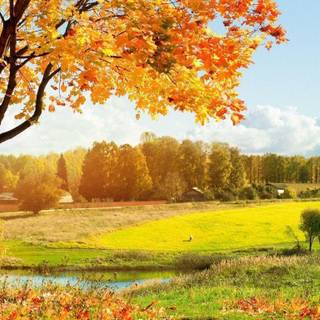 Autumn landscape wallpaper