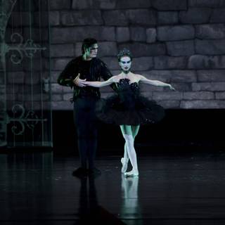 Black Swan wallpaper