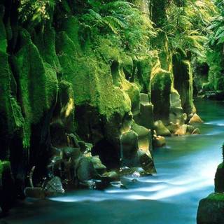 New desktop wallpaper