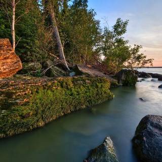 New nature wallpaper