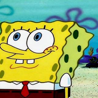 SpongeBob SquarePants wallpaper