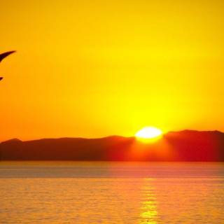 Sunrise wallpaper desktop