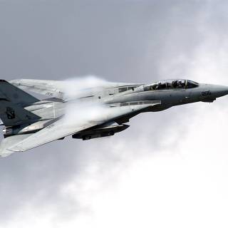F14 Tomcat wallpaper