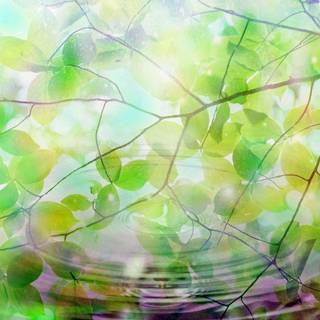 Summer desktop backgrounds