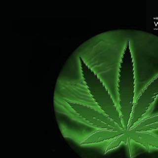 Weed wallpaper desktop
