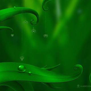 Green color wallpaper