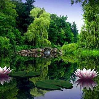 Full HD wallpaper 1920 x 1080