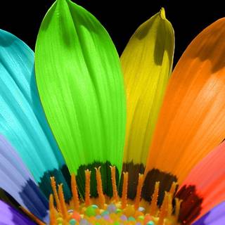 Beautiful spring photos