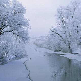 Winter wallpaper pictures