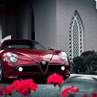 Alfa Romeo wallpaper