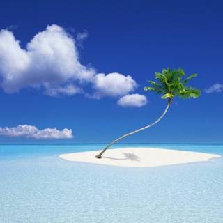 Free holiday backgrounds for desktop