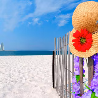 Summer wallpaper pictures