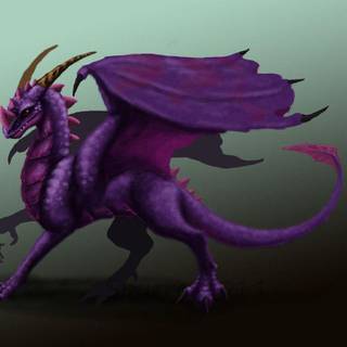 Purple dragon wallpaper