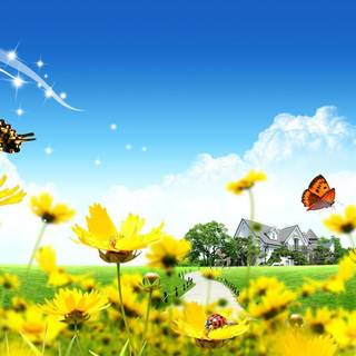 Beautiful summer backgrounds