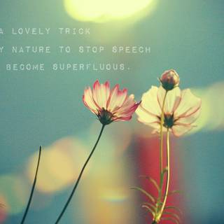 Safe wallpaper for desktop