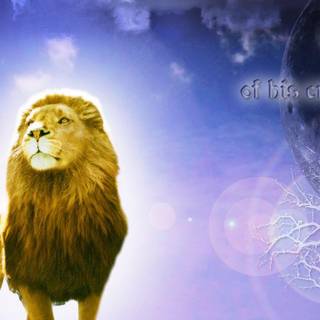 Narnia Aslan wallpaper