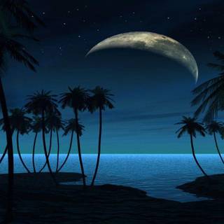 Beach at night wallpaper
