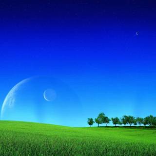 Grassland background