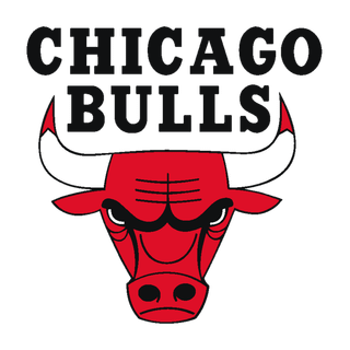 Bulls logo wallpaper