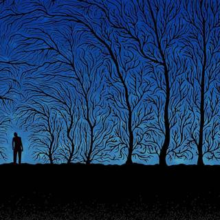 Silhouette wallpaper