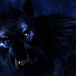 Werewolf wallpaper