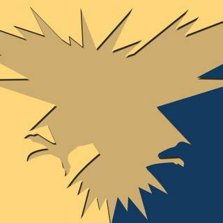 Zapdos wallpaper