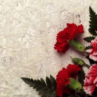 Beautiful flower background