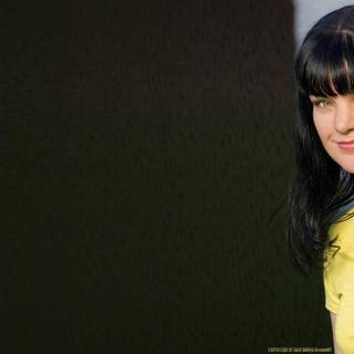 Pauley perrette wallpaper