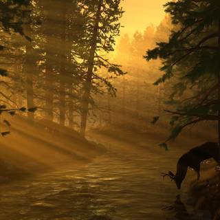 Landscape backgrounds