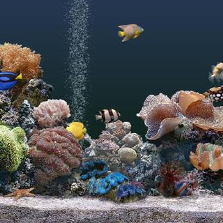 Google screensavers and wallpaper