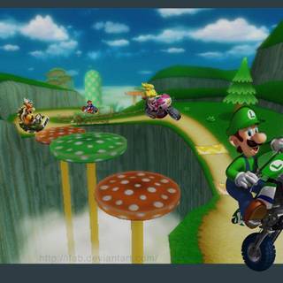 Mario Kart Wii wallpaper
