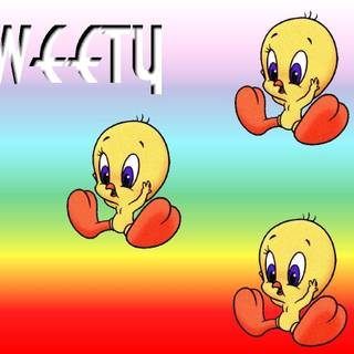 Tweety wallpaper
