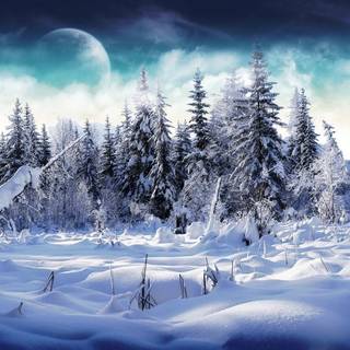 Winter landscape wallpaper